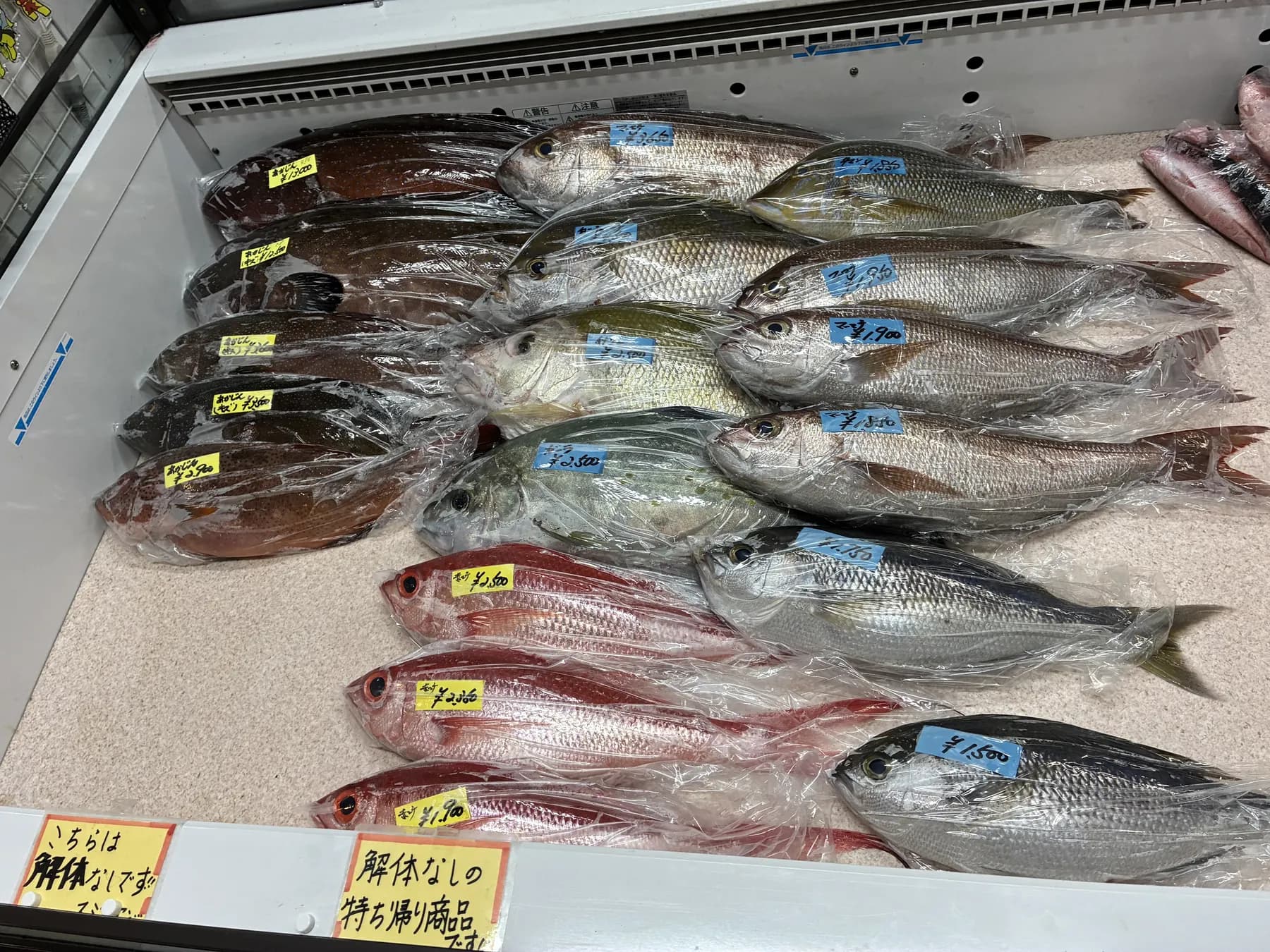 泊いゆまちの魚売場
